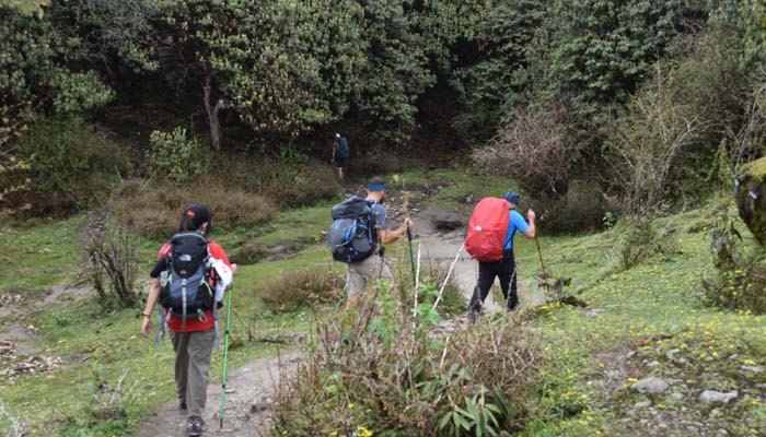 Hiking Tours and Trekking in Nepal