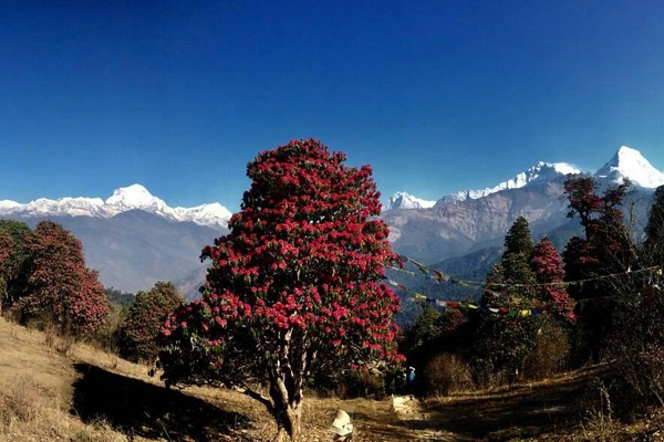 Trekking in Nepal in Spring Season