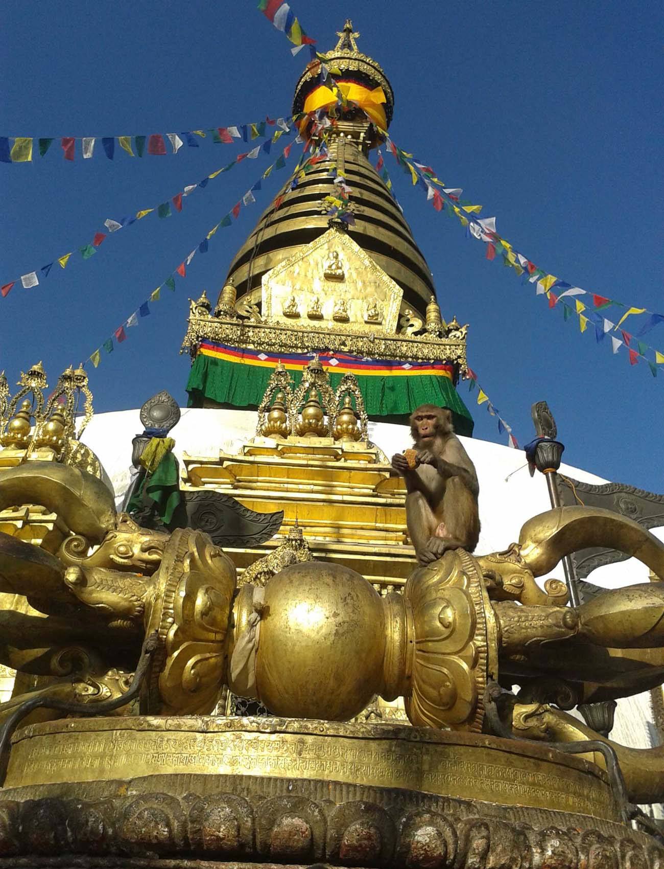 how to know the right things of the best Nepal culture tour