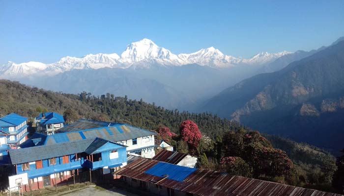 Ghorepani Poon Hill Trek